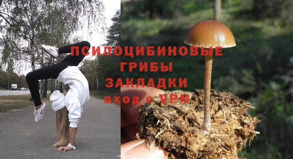 герыч Магас